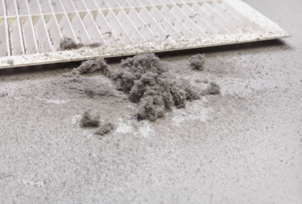 Best Air Duct Cleaning Near Me  in Pemberton Heights, NJ